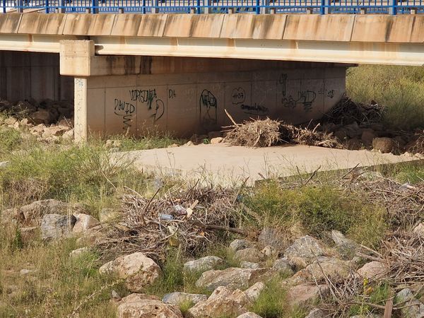 Los cauces de las ramblas de miranda y el albujón siguen sin limpiar a dos semanas de septiembre