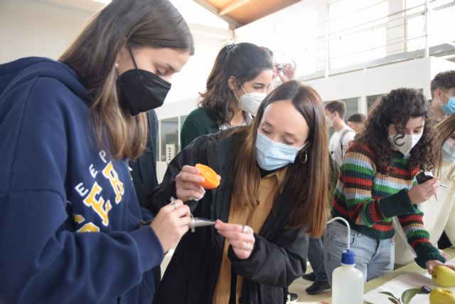 Cultivo marciano, secuestro de carbono y estrés postcosecha: vuelven las Rutas Biotecnológicas