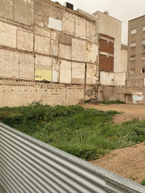 MC exige la intervención del Gobierno murciano para que la colección de Marifí Plazas sea cedida a Cartagena