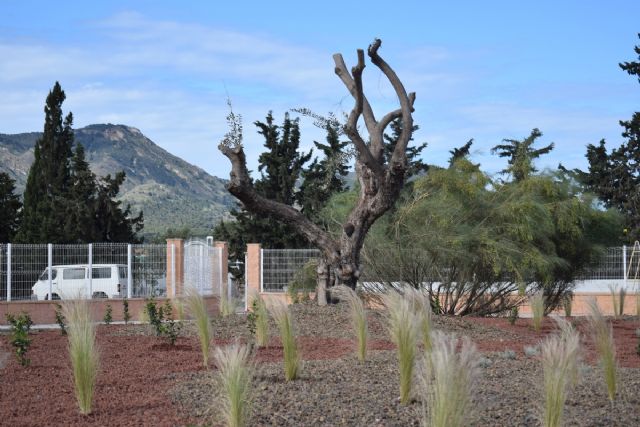 La isleta de la calle Picos de Europa se renueva por completo mejorando su estética
