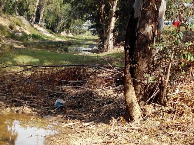 Cs denuncia que la CHS y el Ayuntamiento no actúan en las ramblas más abandonadas ante la amenaza de la gota fría