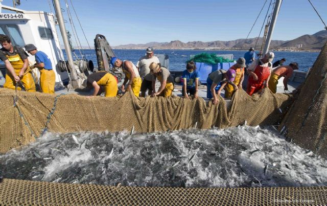 Pescados con Arte inicia 2017 enseñando a los mas pequeños a cocinar el rubio y a conservar los fondos marinos del litoral cartagenero