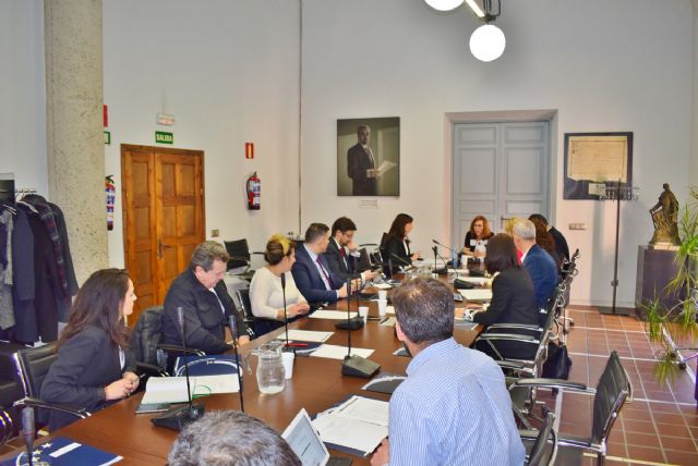 La alcaldesa preside en Madrid la Comision de Desarrollo Economico y Empleo de la FEMP