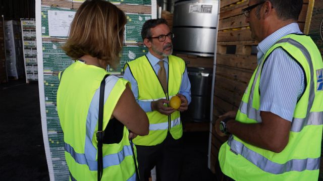 Cartagena se consolida como el principal puerto europeo de exportación de animales vivos, con 270.000 cabezas en 2019