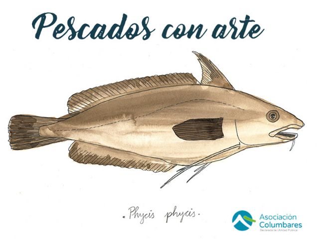 Pescados con Arte enseña a cocinar la brotola en papillote con veloute