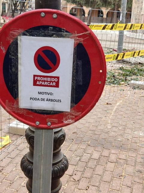 MC: La arboricida N. Arroyo (PP) la ´toma´ con el arbolado de Cartagena