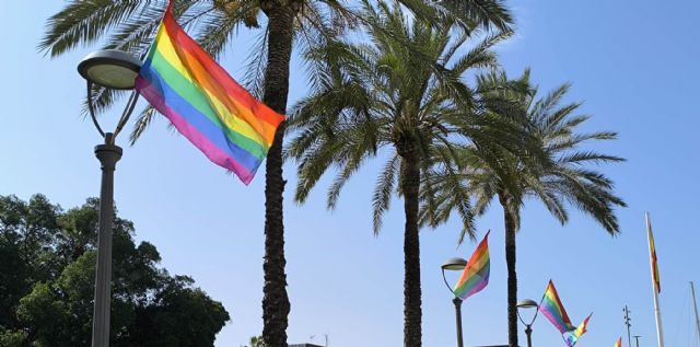 VOX se desmarca de la exhibición de banderas LGTBI organizado por el PP en el Ayuntamiento de Cartagena