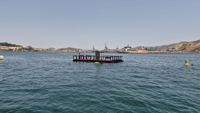 La UPCT instala una plataforma en el Puerto de Cartagena para testar sistemas de generación de energía marina
