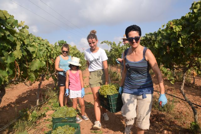 Estudiantes, profesores y personal se reencuentran en la Fiesta de la Vendimia de la UPCT
