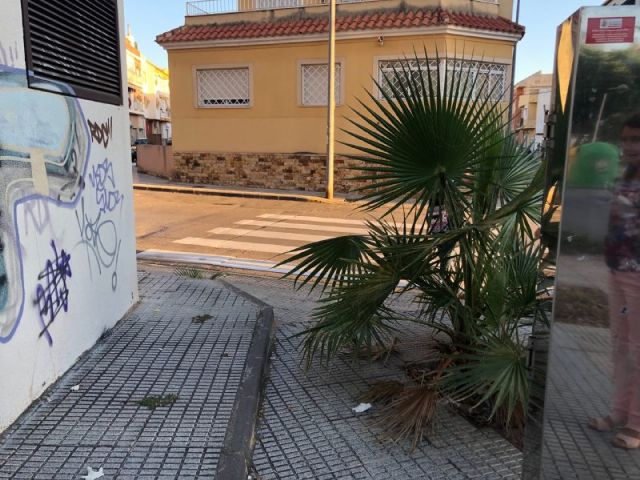 MC exigirá en el Pleno soluciones para los numerosos problemas de accesibilidad, seguridad y limpieza existentes en la Media Sala