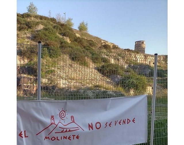 La Coordinadora del Molinete lamenta que la “comisión municipal de expertos” sólo incluya profesionales que han firmado contra las tesis de este colectivo