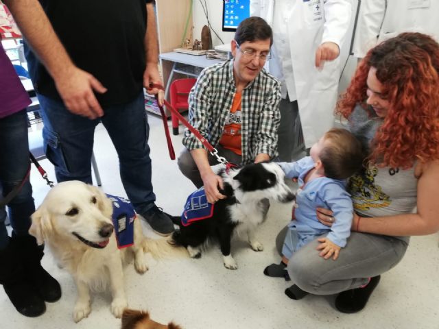 La Comunidad implanta en Cartagena la terapia con perros para mejorar la recuperación de los niños hospitalizados