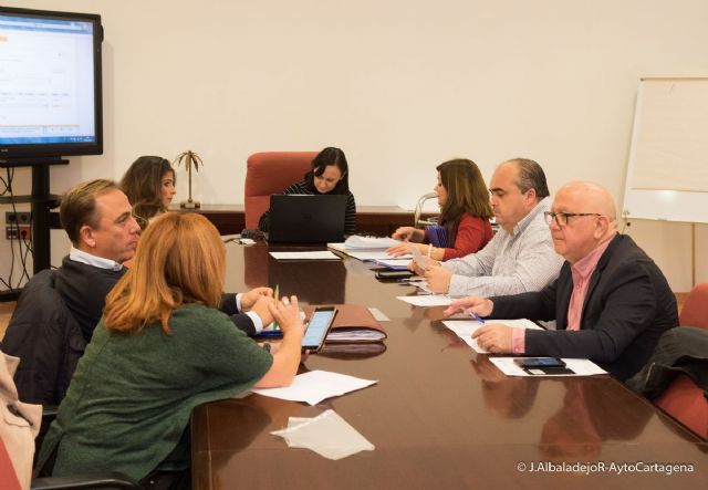 Dieciocho empresas optan al servicio de conservacion y mejora de jardines y arbolado de Cartagena