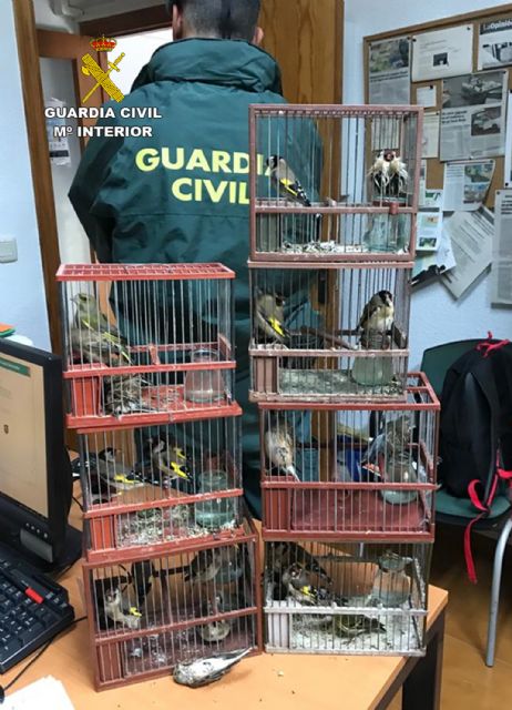 La Guardia Civil sorprende a un furtivo mientras capturaba aves fringílidas en Cartagena