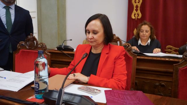 El Pleno aprueba iniciar el estudio para la regulación del uso de petardos impulsada por MC Cartagena