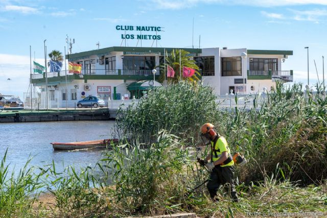 Comienza la retirada de los cañizos de Los Nietos cuya eliminación reclamaban los vecinos