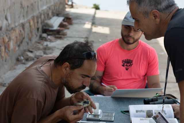 III Campaña de anillamiento prenupcial 2026 en la isla de Escombreras