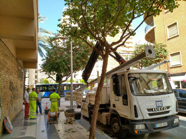 Desarrollo Sostenible sustituye cerca de doscientos soportes de alumbrado publico en el Ensanche