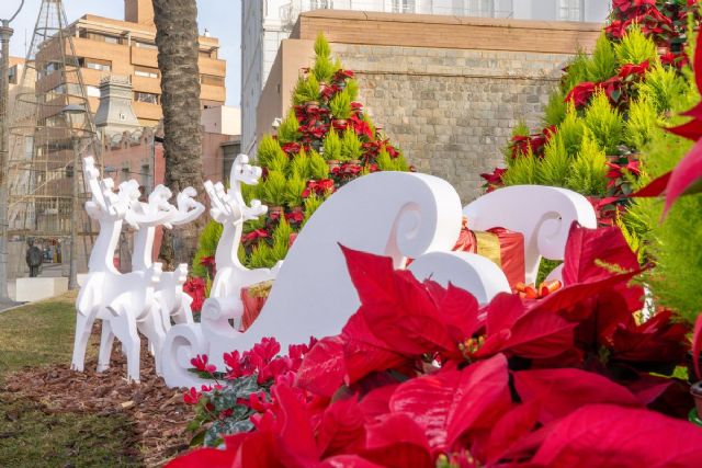 MXs de 30.000 plantas engalanan Cartagena durante las fiestas navideñas