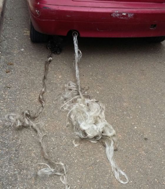 Ciudadanos Cartagena denuncia el sabotaje del coche particular de unos de sus concejales