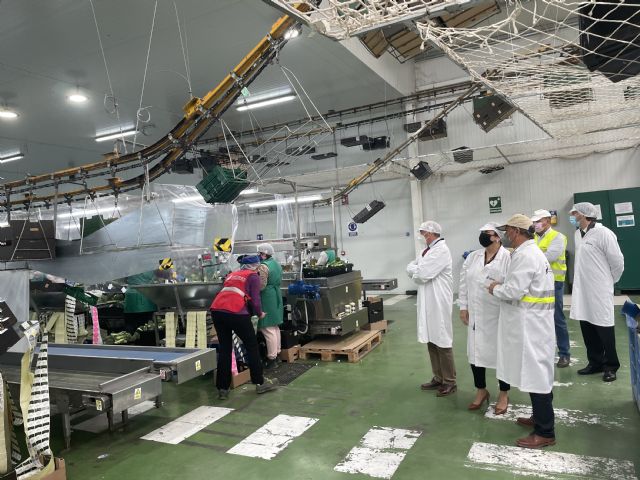 El Puerto de Cartagena afianza sus relaciones comerciales con la cooperativa Alimer