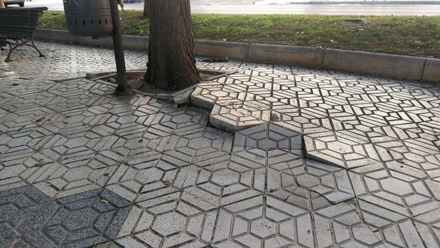 CTSSP llevará una iniciativa al pleno para exigir el arreglo de la alameda de San Antón