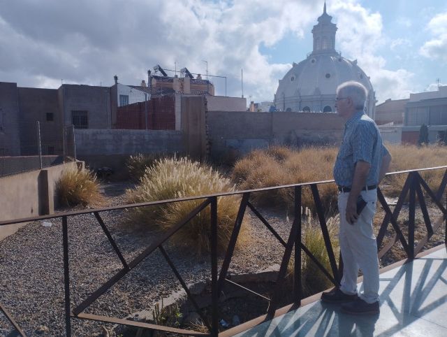 MC Cartagena exige la erradicación inmediata de una especie invasora en parques y jardines municipales