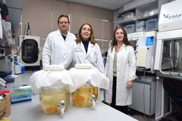 Desarrollan una bebida fermentada ‘3S’, similar a la kombucha, que convierte subproductos agroalimentarios en nuevos alimentos saludables