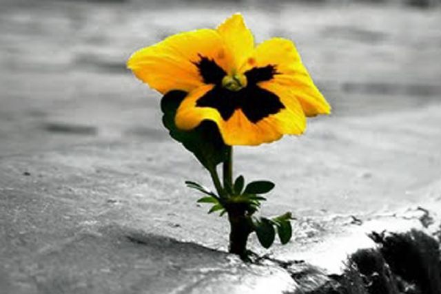 El IES Ben Arabí de Cartagena entrega el Premio 'Jacinto Alcaraz Mellado'