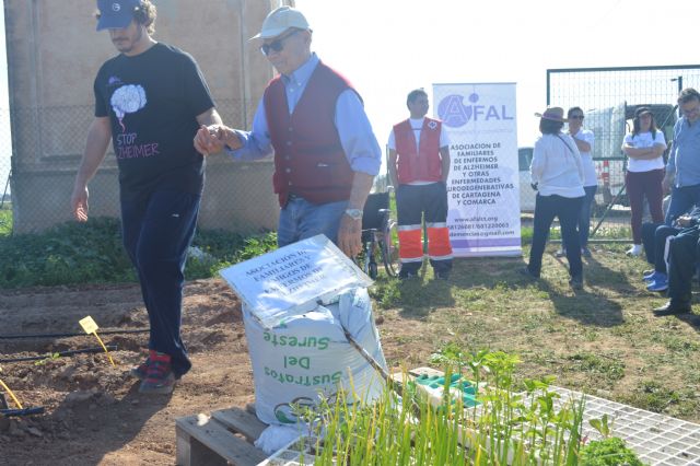 Enfermos de Alzheimer rememoran sensaciones en los huertos de ocio de la Politécnica de Cartagena