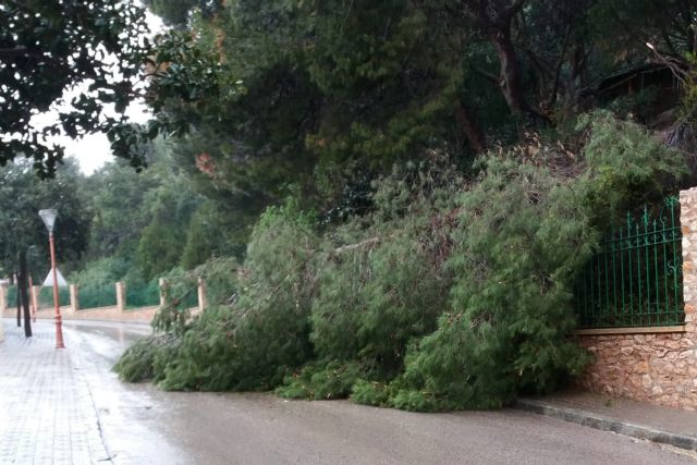 El Ayuntamiento cierra los parques vallados para revisar el arbolado tras el episodio de lluvias