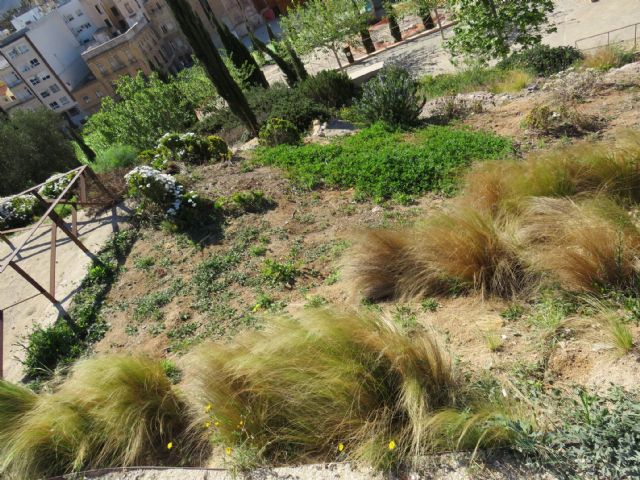 Ciudadanos pedirá explicaciones en el próximo Pleno por el abandono del Parque Arqueológico del Molinete