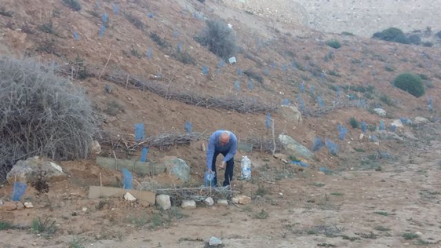 Cs advierte sobre el abandono de la reforestación del monte del Castillo de los Moros y exige que se extreme el control