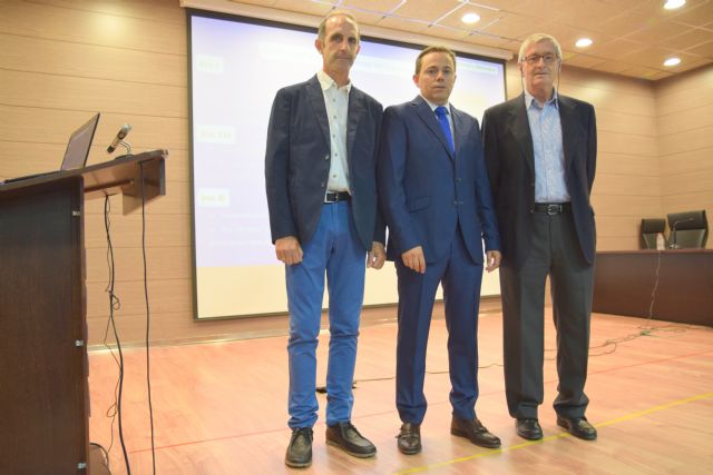 Mejoran la producción de pimiento utilizando enmiendas orgánicas contra los patógenos