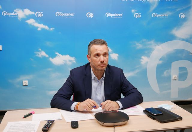 El PP apoyará el domingo en Cartagena la manifestación de 'Mas Plurales' contra la Ley educativa