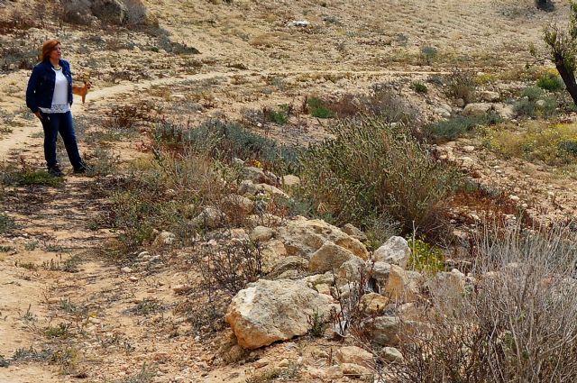 Podemos pide proteger y mantener los caminos rurales