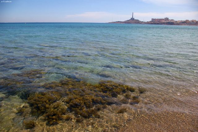 La UMU investiga la huella de la pesca recreativa en Cabo de Palos