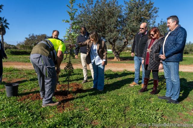 El Ayuntamiento renueva el Parque de los Exploradores con más árboles, nuevo mobiliario y un sistema de riego más eficiente