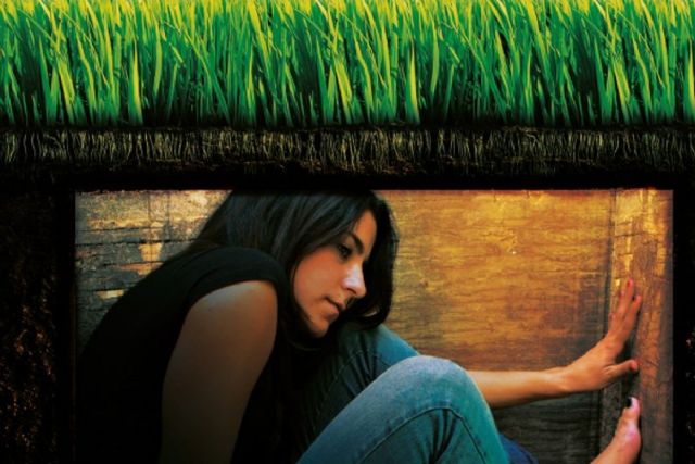 La Junta de Gobierno aprueba el alquiler de una segunda casa de acogida de víctimas de violencia machista