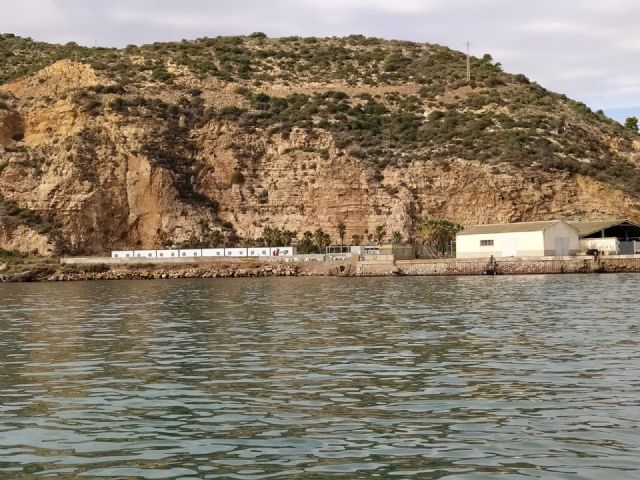 El Pleno del Ayuntamiento exige al Ministerio que aclare su intención de trasladar el CATE fuera de El Espalmador