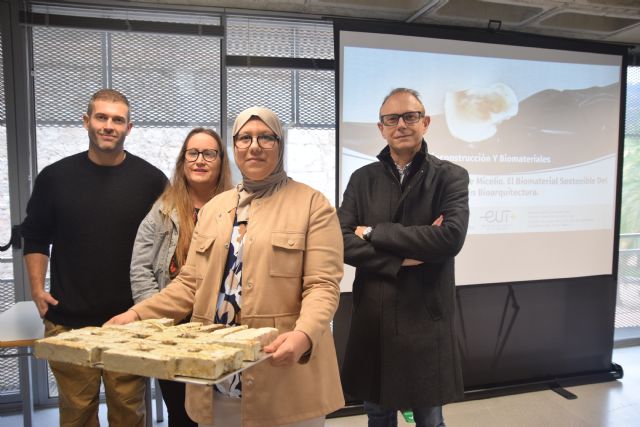 Crean con hongos y residuos ladrillos biodegradables más resistentes que los tradicionales