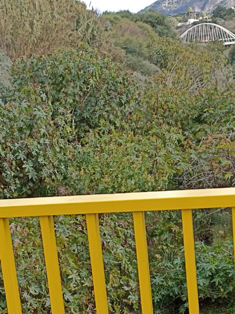 Los vecinos de Canteras temen inundaciones en la zona urbana por falta de limpieza en la rambla