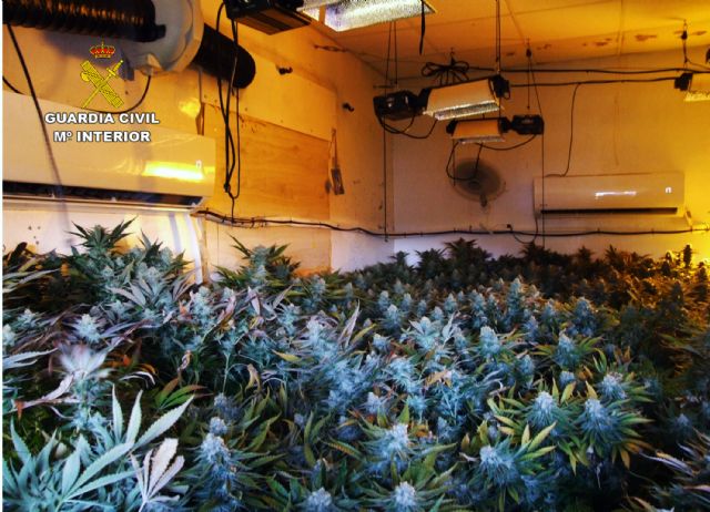 La Guardia Civil detiene a una pareja por cultivo y venta de marihuana y por la tenencia ilícita de dos armas de fuego
