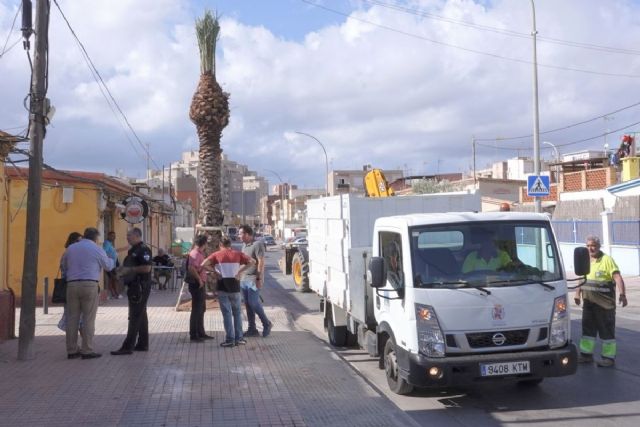 Parques y Jardines repone las palmeras de la Barriada Virgen de la Caridad y del Arqua