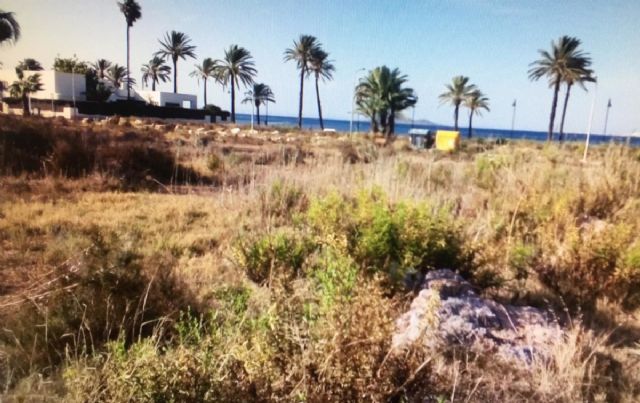 El Ayuntamiento lleva a cabo cuatro limpiezas subsidiarias en solares del municipio