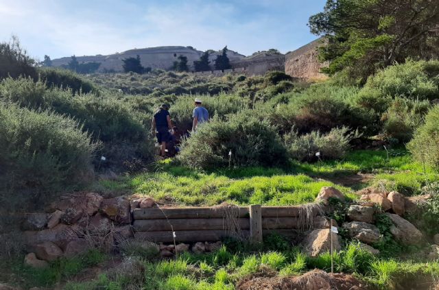 Ciudad Sostenible subvenciona con 10.000 euros seis proyectos de reforestación en el municipio de Cartagena