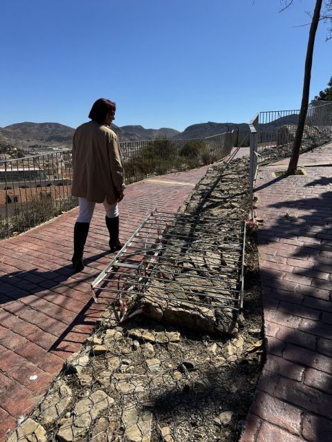 MC denuncia el declive y las numerosas deficiencias que presenta el Parque Torres