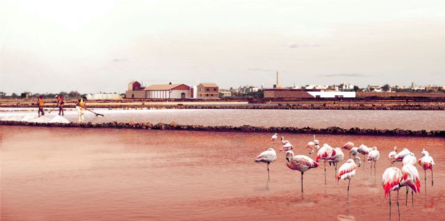Una arquitecta por la UPCT propone recuperar la actividad salinera de Marchamalo impulsando el ecoturismo