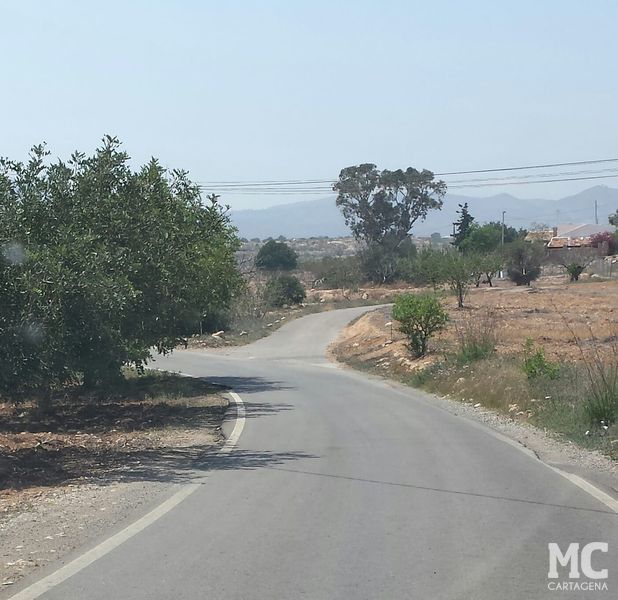 MC solicitará que se impulsen mejoras en infraestructuras y el patrimonio rural de la zona oeste