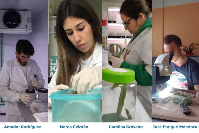 Tres personas alimentan durante el confinamiento a las 65 poblaciones de insectos de los laboratorios de la UPCT
